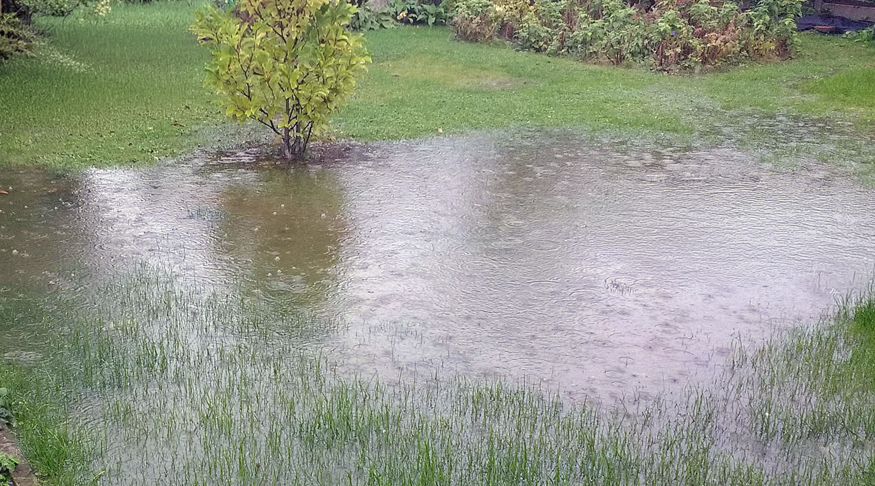 A grassy field with a large puddle of water