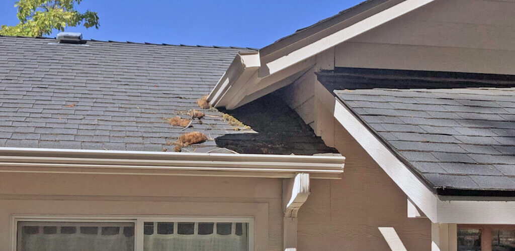A drip edge and gutter apron along a Southern Oregon Home's roof