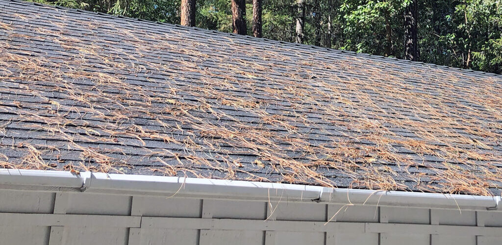 A Southern Oregon roof and gutters that need to be cleaned