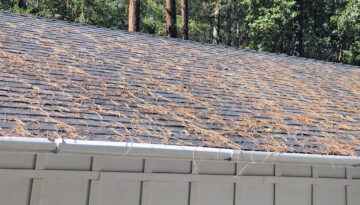 A Southern Oregon roof and gutters that need to be cleaned