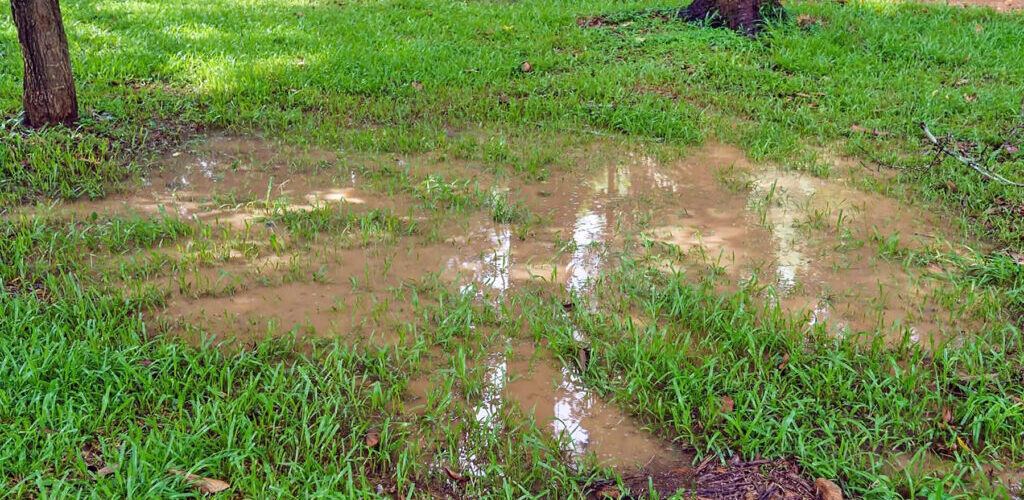 A flooded yard with no outlet and drainage problems in Southern Oregon