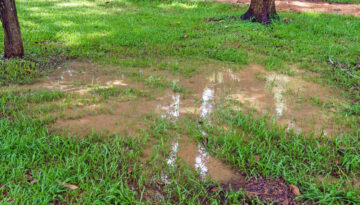 A flooded yard with no outlet and drainage problems in Southern Oregon
