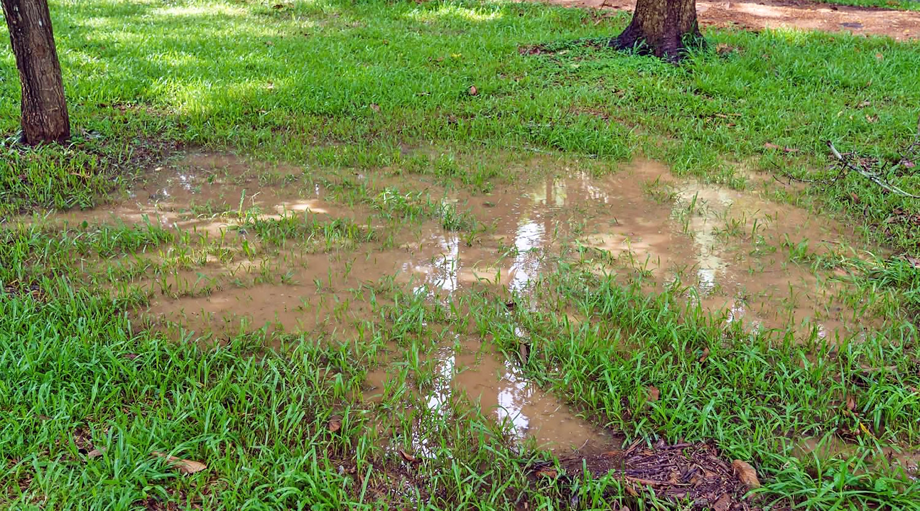 A flooded yard with no outlet and drainage problems in Southern Oregon