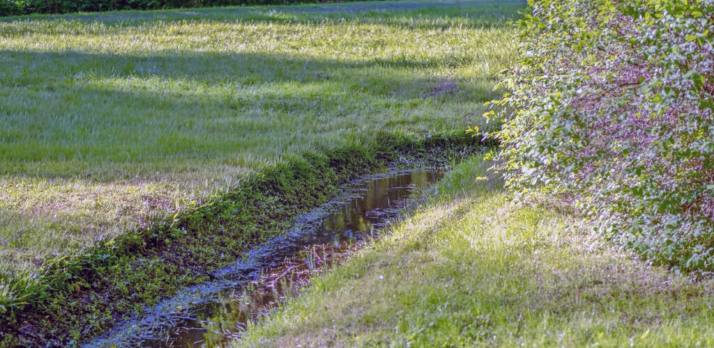A Swale in the backyard of a Southern Oregon house
