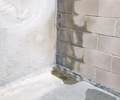 Basement in Southern Oregon with Moisture seeping through