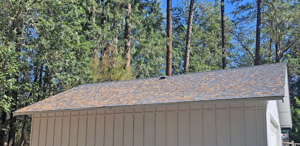 A roof with pine needles on it that is ready for cleaning in spring