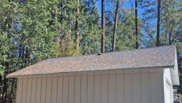 A roof with pine needles on it that is ready for cleaning in spring