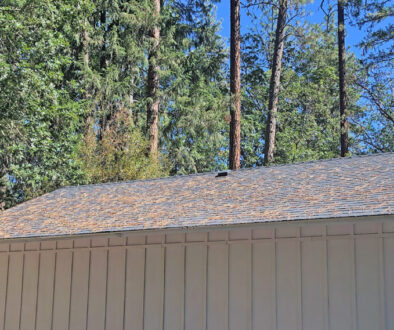 A roof with pine needles on it that is ready for cleaning in spring