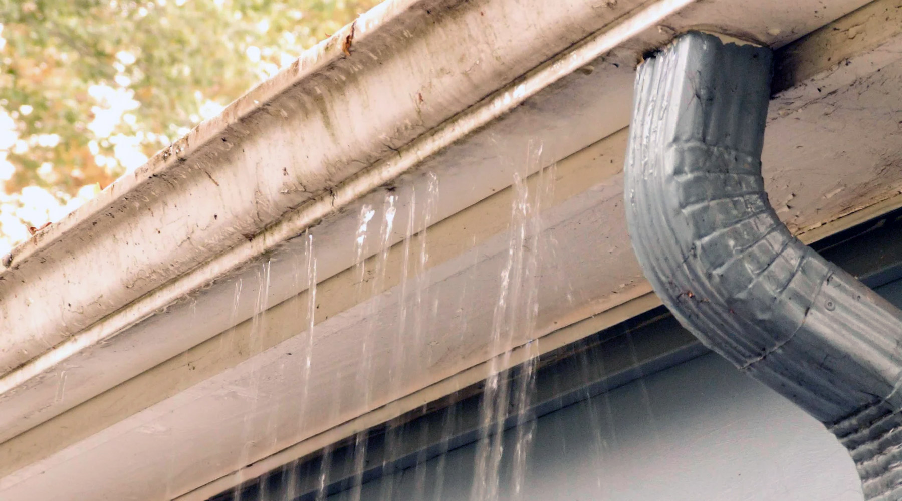 A leaking gutter that needs cleaning