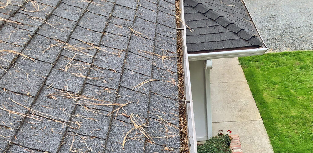 Semi-dirty rain gutters that will not cost too much to get cleaned