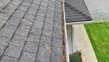 Semi-dirty rain gutters that will not cost too much to get cleaned