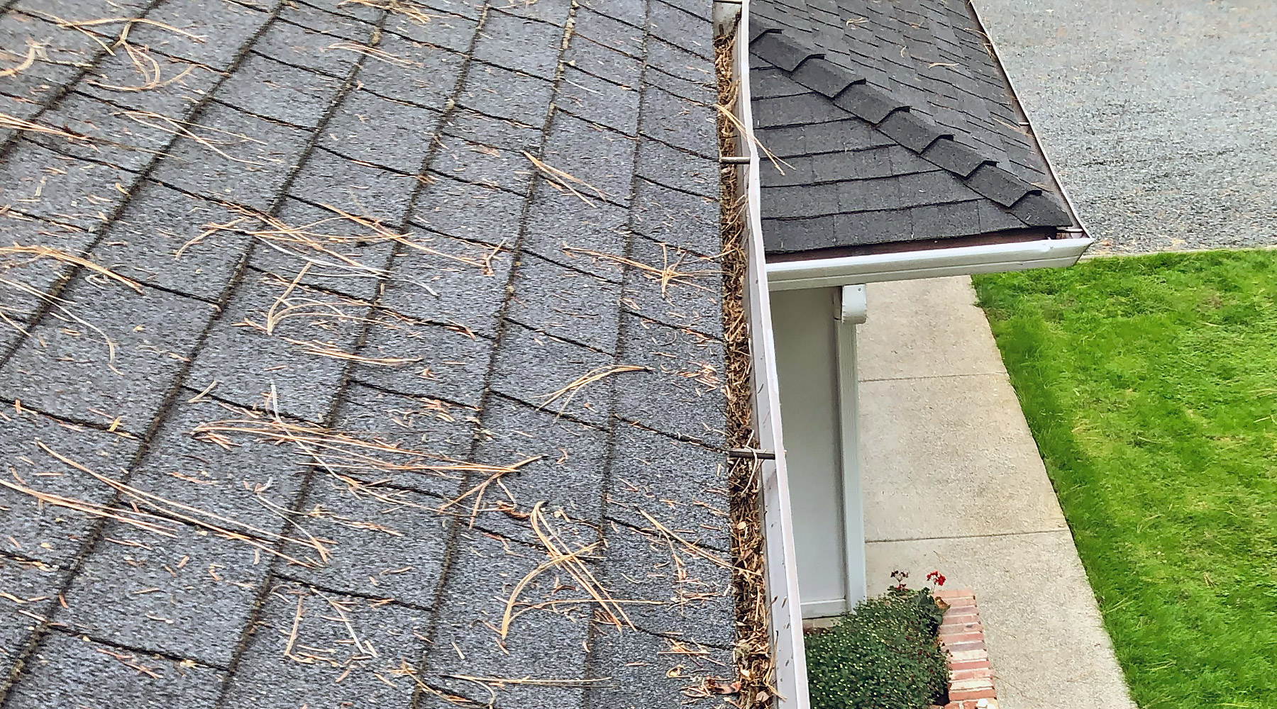 Semi-dirty rain gutters that will not cost too much to get cleaned