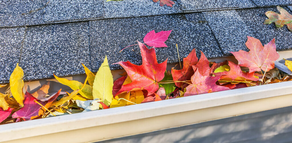 A gutter full of fall leaves in Southern Oregon