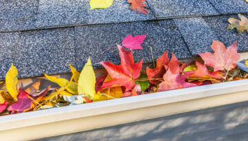 A gutter full of fall leaves in Southern Oregon