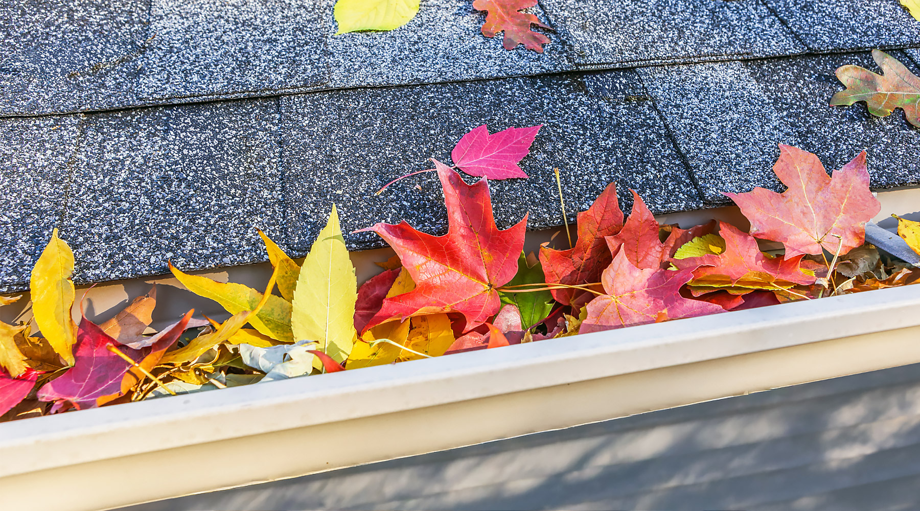 A gutter full of fall leaves in Southern Oregon