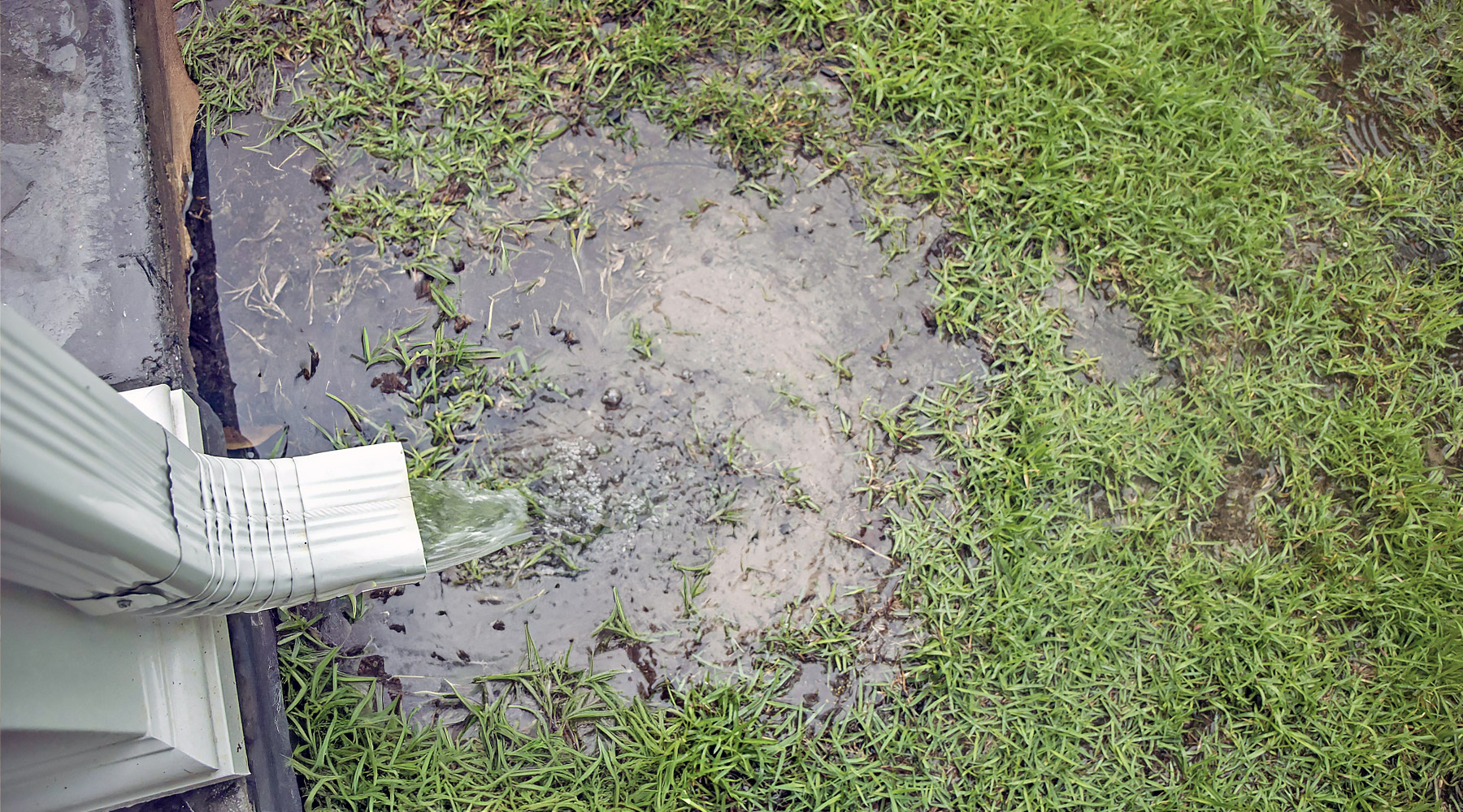 A pool of water at the base of a house indicating a grading or gutter problem
