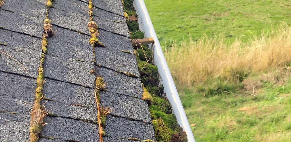 Gutters full of moss because they were not cleaned often enough