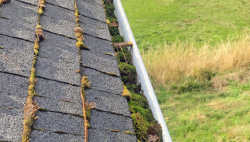 Gutters full of moss because they were not cleaned often enough