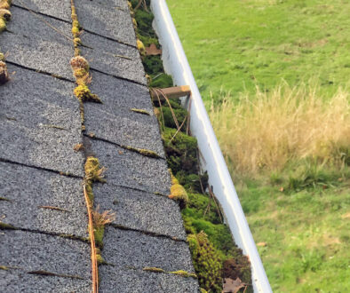 Gutters full of moss because they were not cleaned often enough