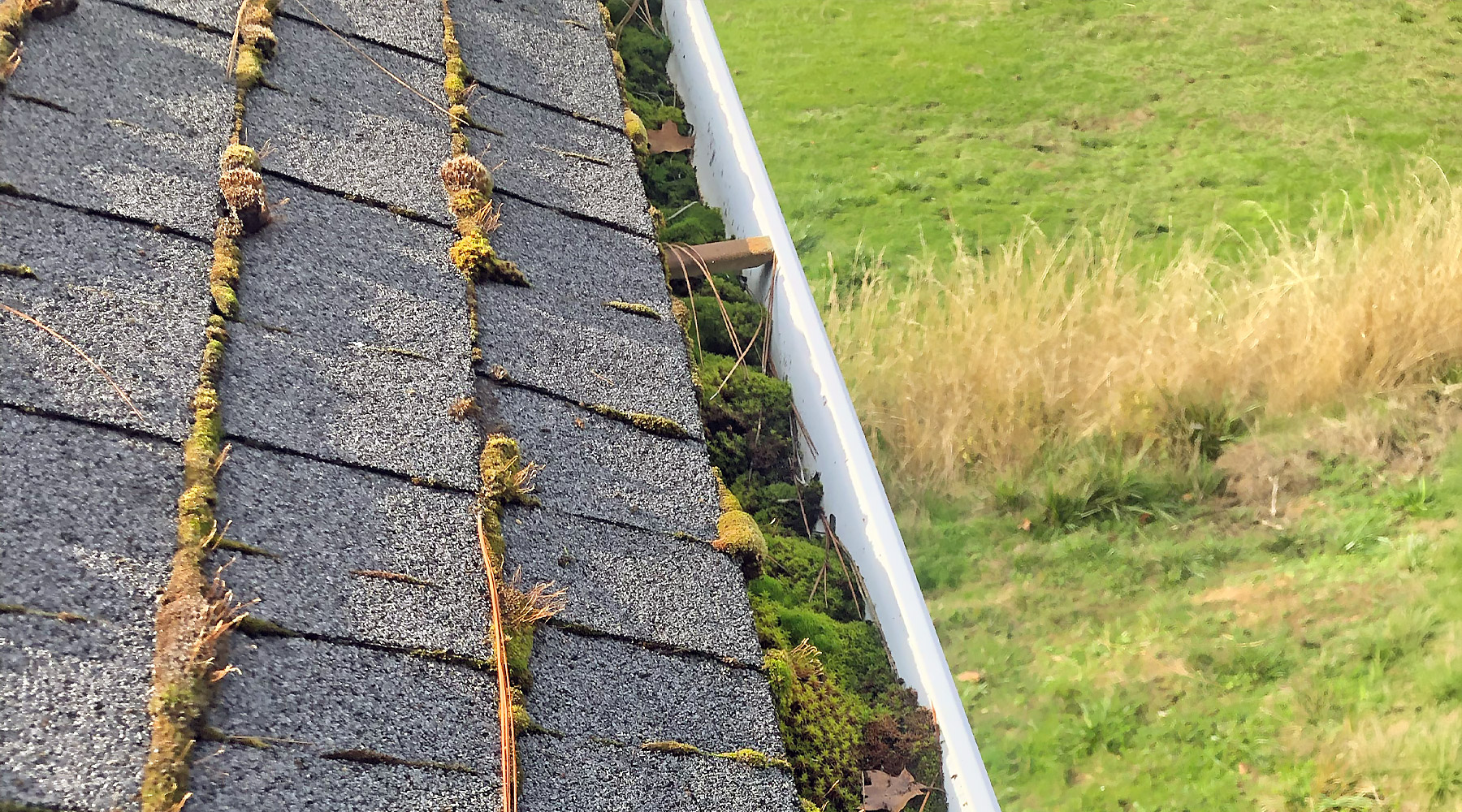 Gutters full of moss because they were not cleaned often enough