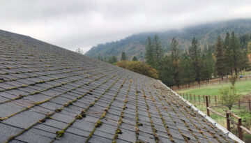 An asphalt shingle roof in southern Oregon covered in moss