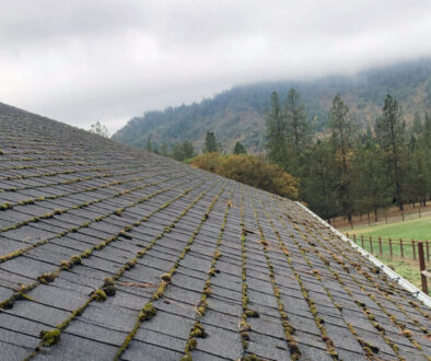 An asphalt shingle roof in southern Oregon covered in moss