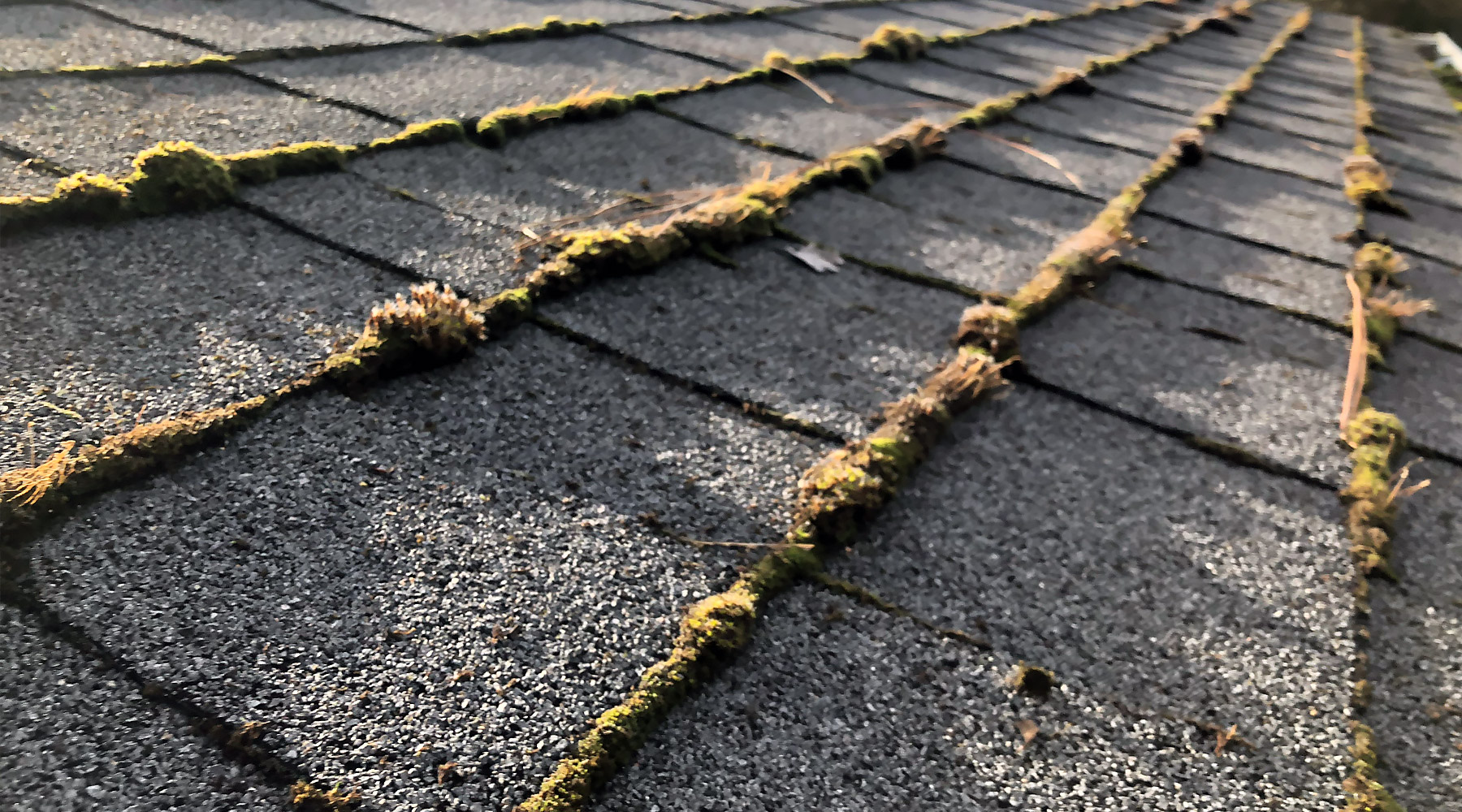 A shingle roof in Southern Oregon that needs the roof moss removed