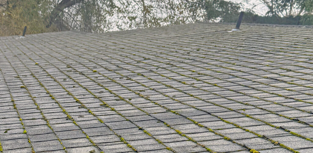 A roof with moss growth that needs cleaning in Southern Oregon
