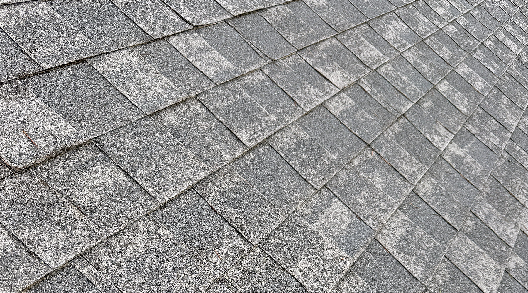 Old roof shingles that need replaced