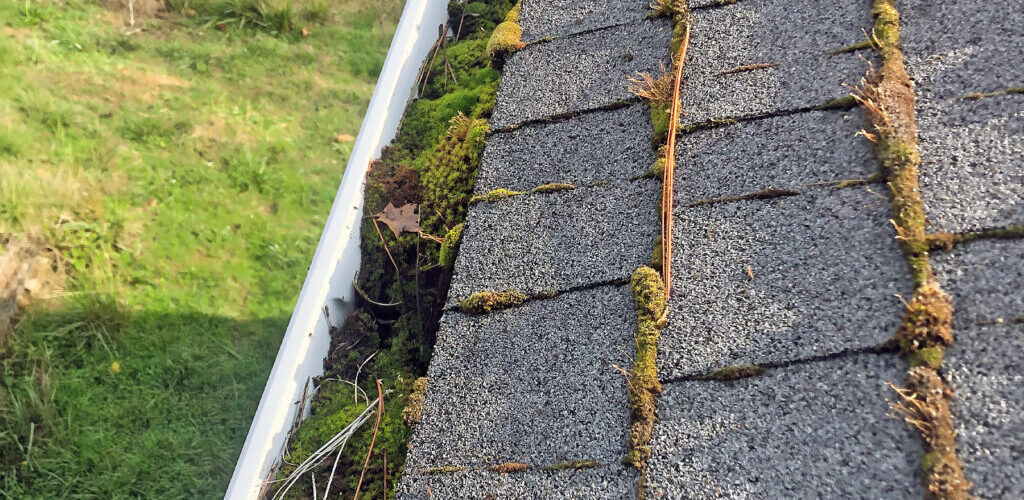 Rain gutters on a Southern Oregon house that are full of moss and failing