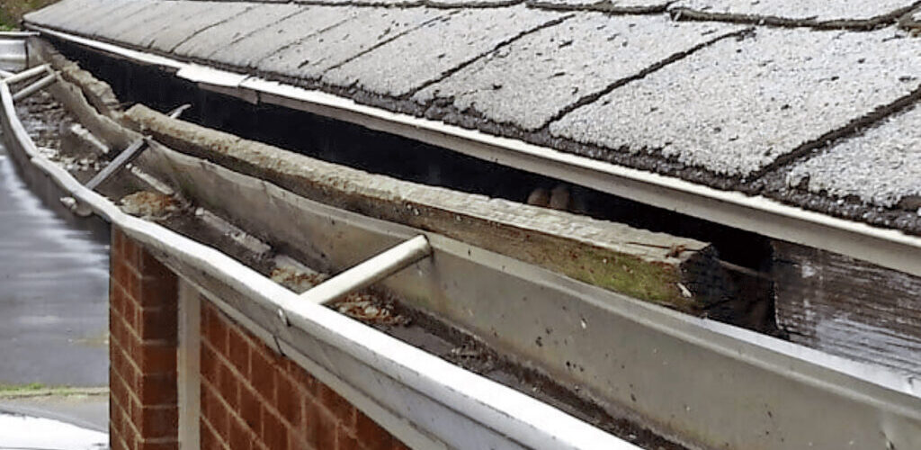 Roof damage caused by a clogged gutter in Southern Oregon