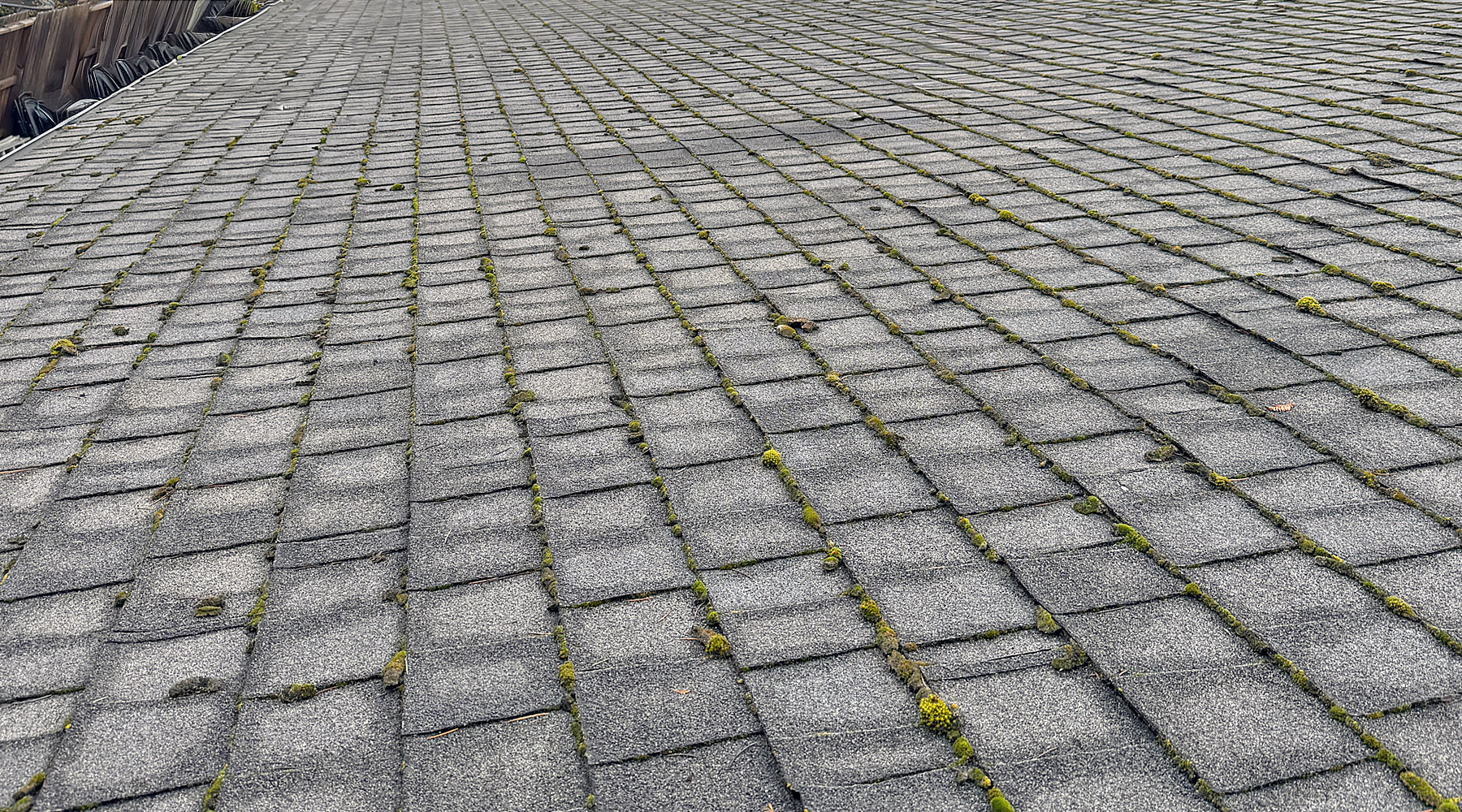 Medium moss growth on roof in Southern Oregon